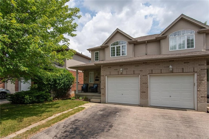 384 Pastern Trail