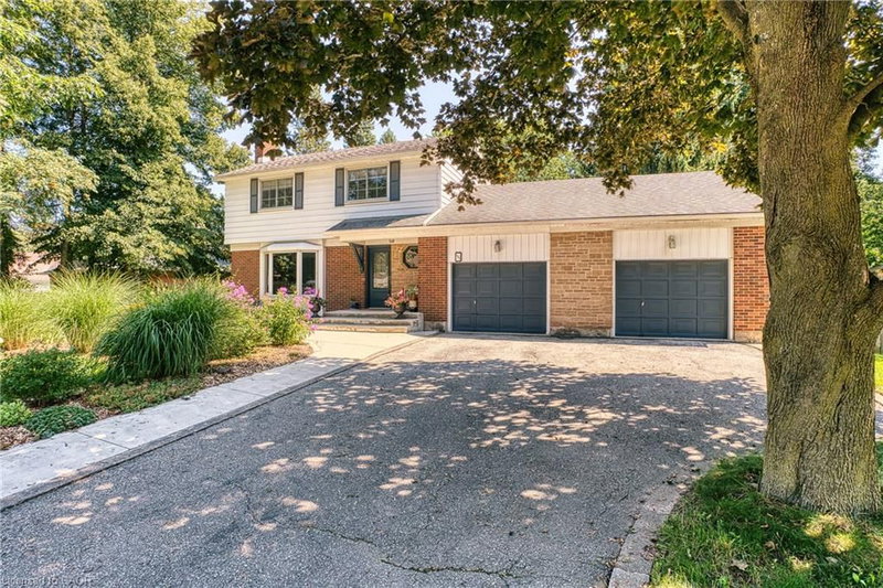 127 Blenheim Road