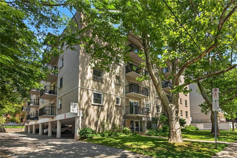 40 Robinson Street photo 4