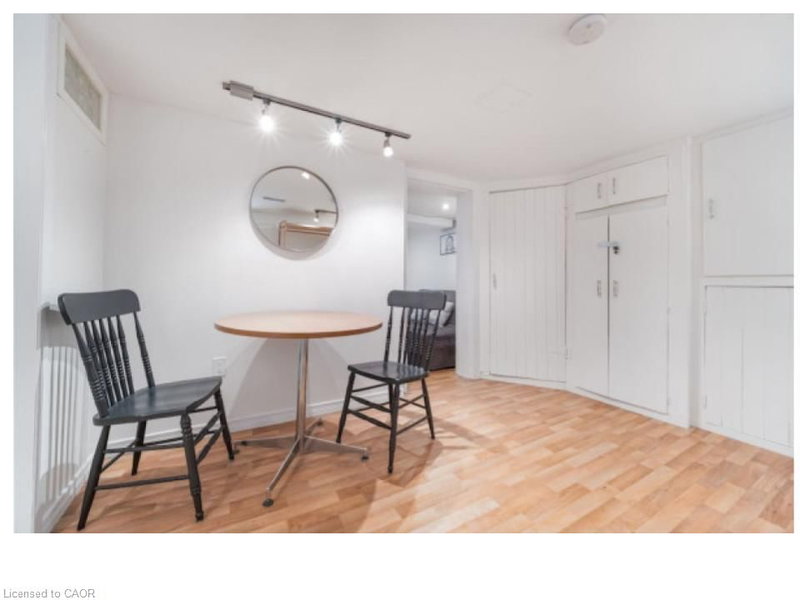 Lower Level - 28 Spring Street W