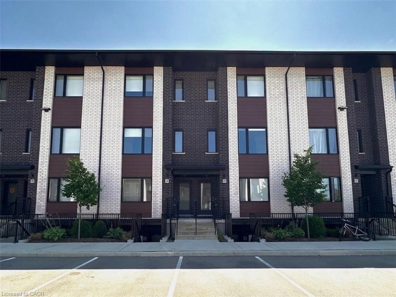 13 Lily Lane