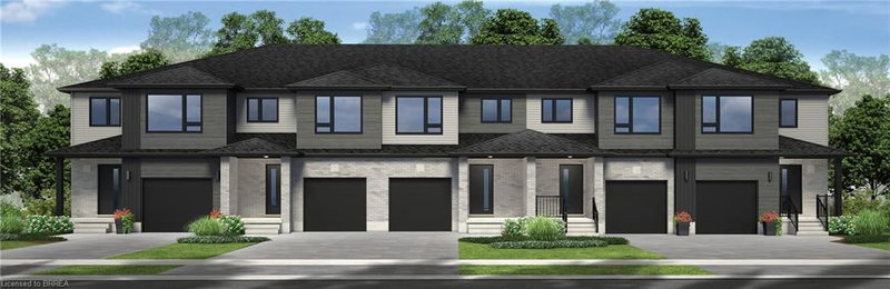 11 Wilcox Street