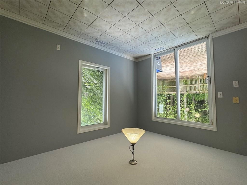51 Critcher Avenue, Cambridge 5