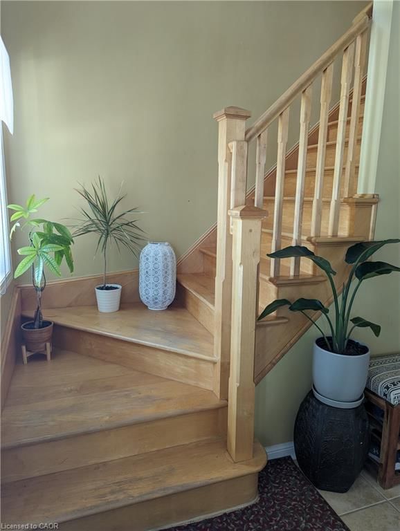 36 Bugdale Drive, Cambridge 5