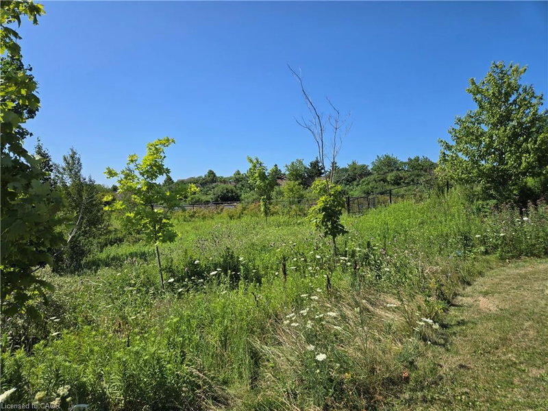 50 Dredge Court