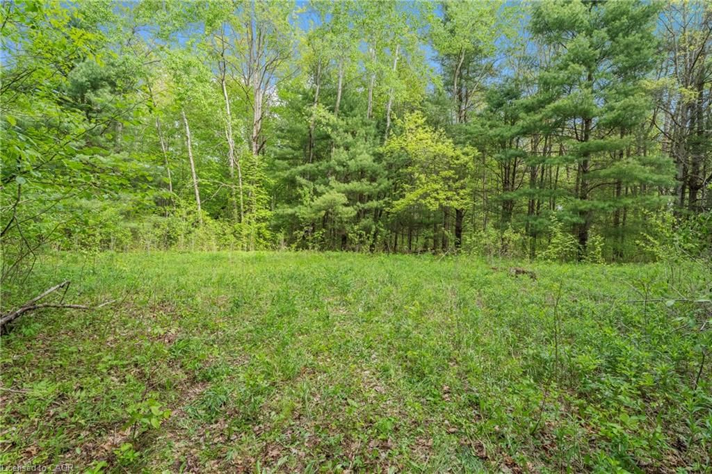 372 Highway 24 — photo 4