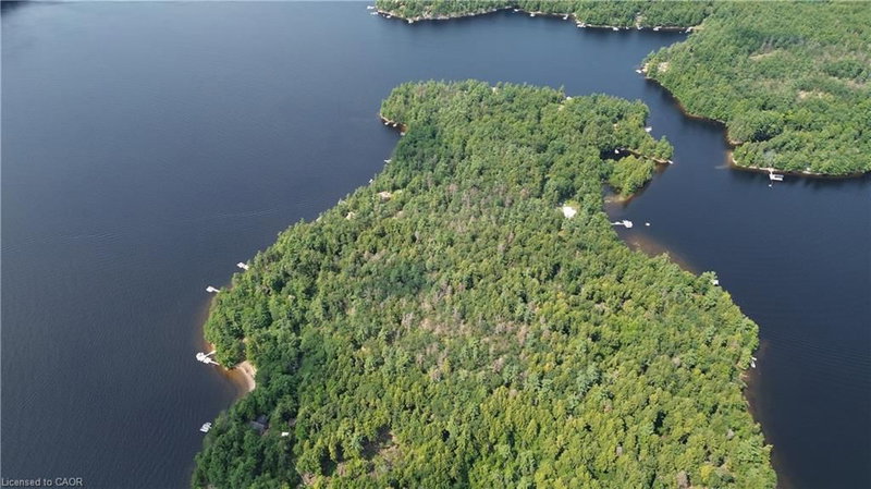 BLADE Gold Lake Island