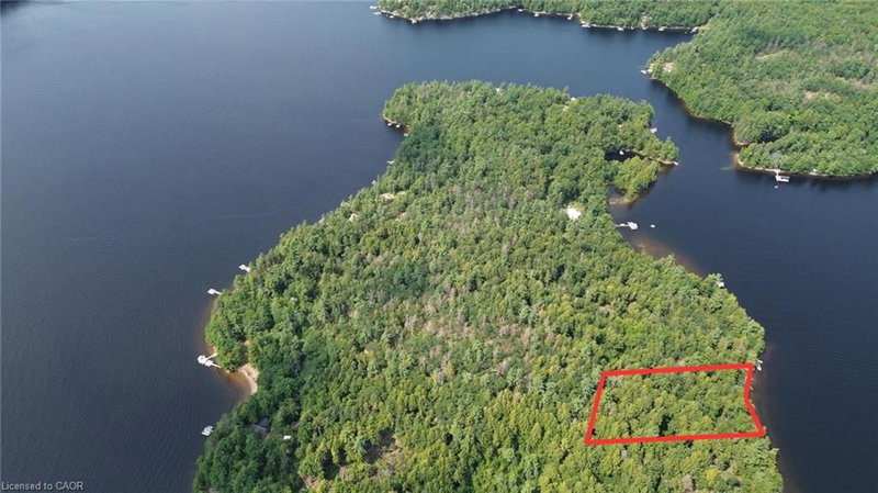 BLADE Gold Lake Island