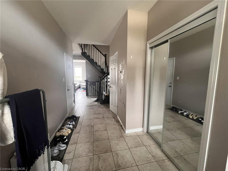 298 Buttonbush Street