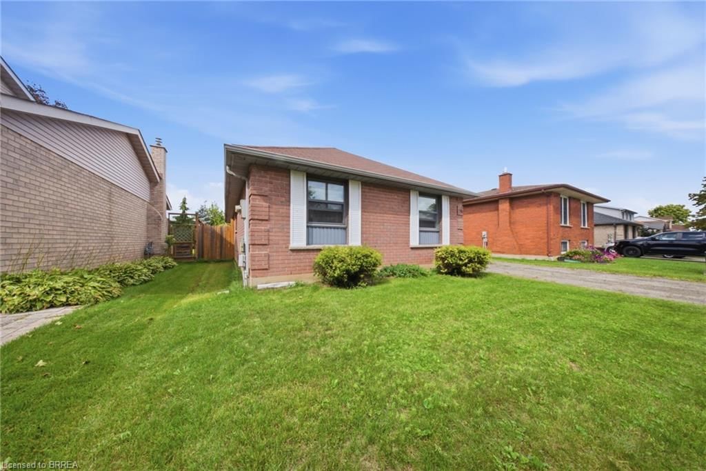 43 Ruffian Road — photo 3