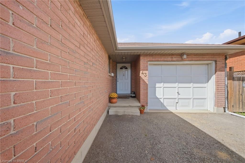 43 Ruffian Road — photo 4