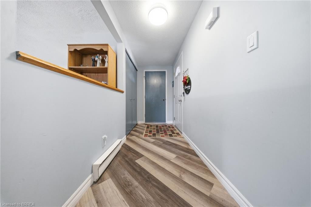 43 Ruffian Road — photo 5