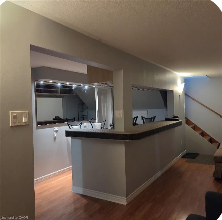 BASEMENT - 59 Oakland Drive
