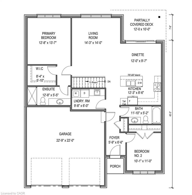 51 Judd Drive