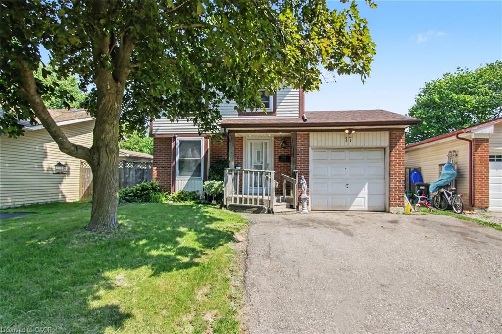 17 Hallmark Street — photo 4