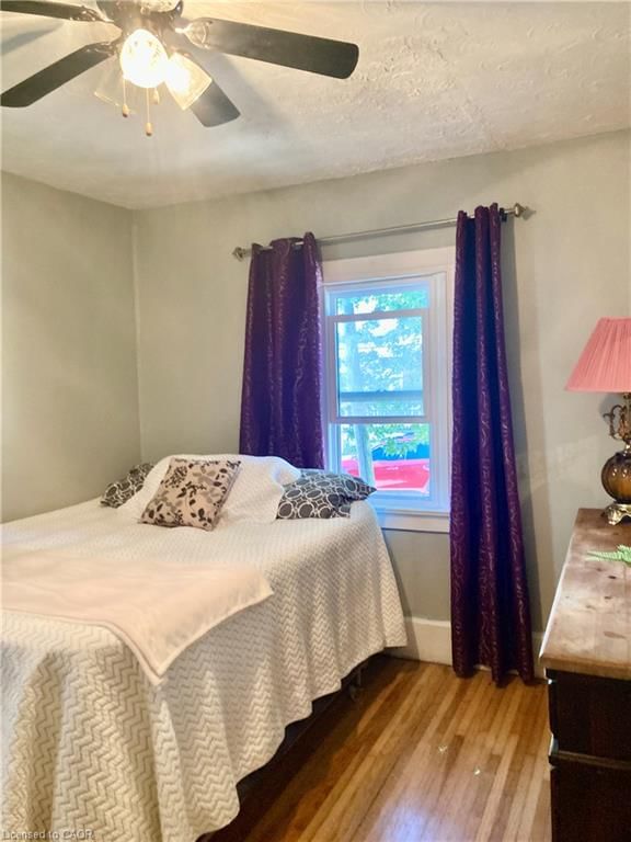 9 Woodland Avenue photo 5