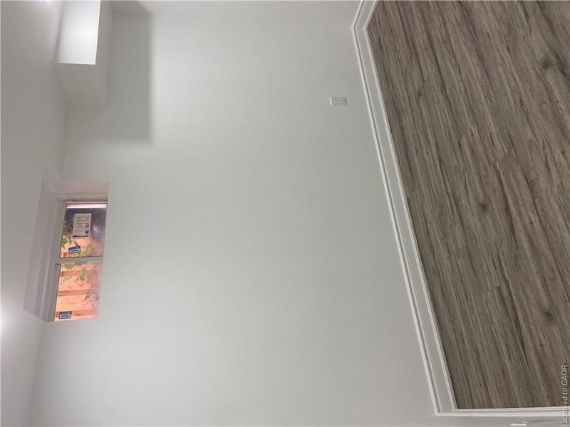 Basement - 45 Fletcher Road