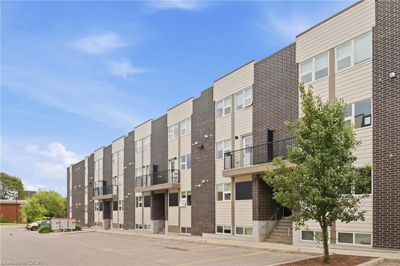 338 Albert Street photo 4