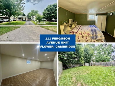 Lower - 111 Ferguson Avenue