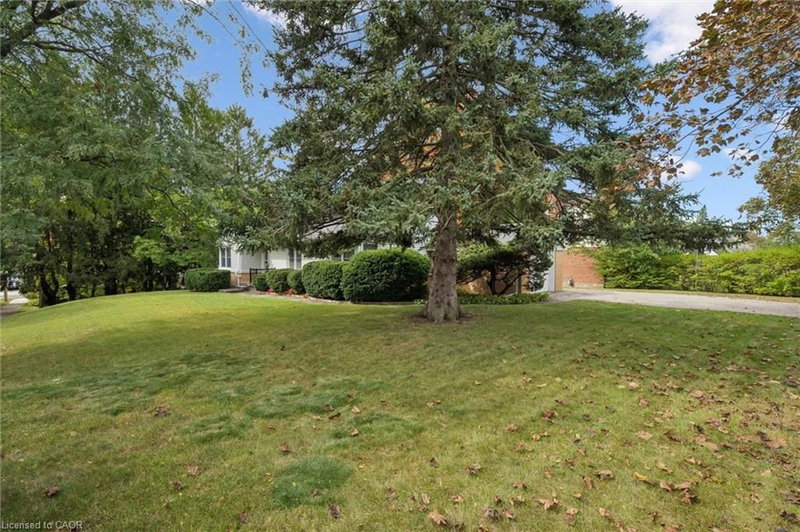 65 Belmont Avenue W photo 3