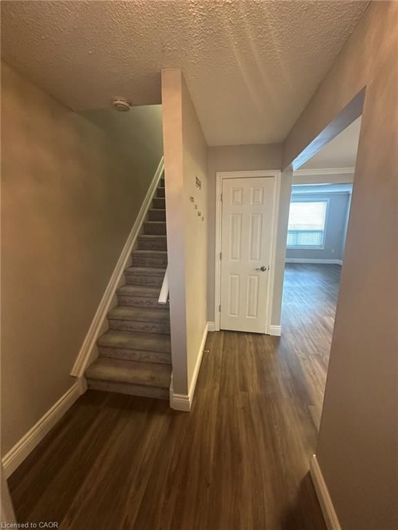 250 Magnolia Drive photo 2