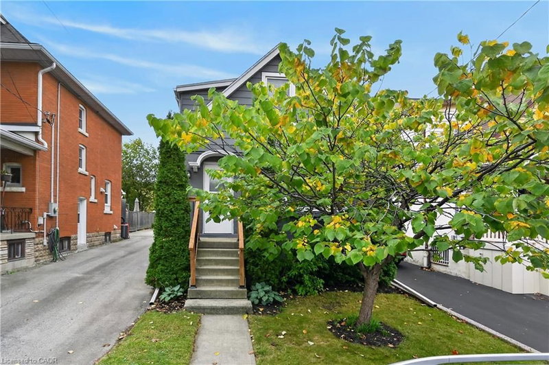 247 Homewood Avenue photo 3