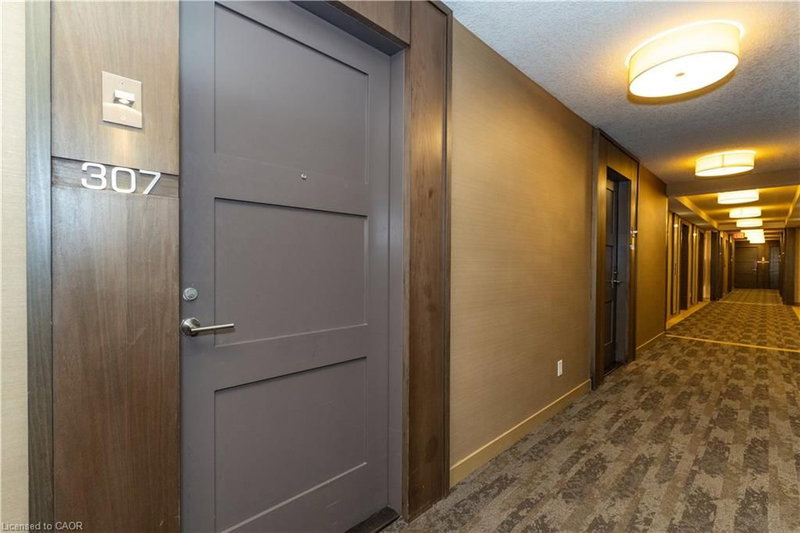 300 Front Street W photo 5