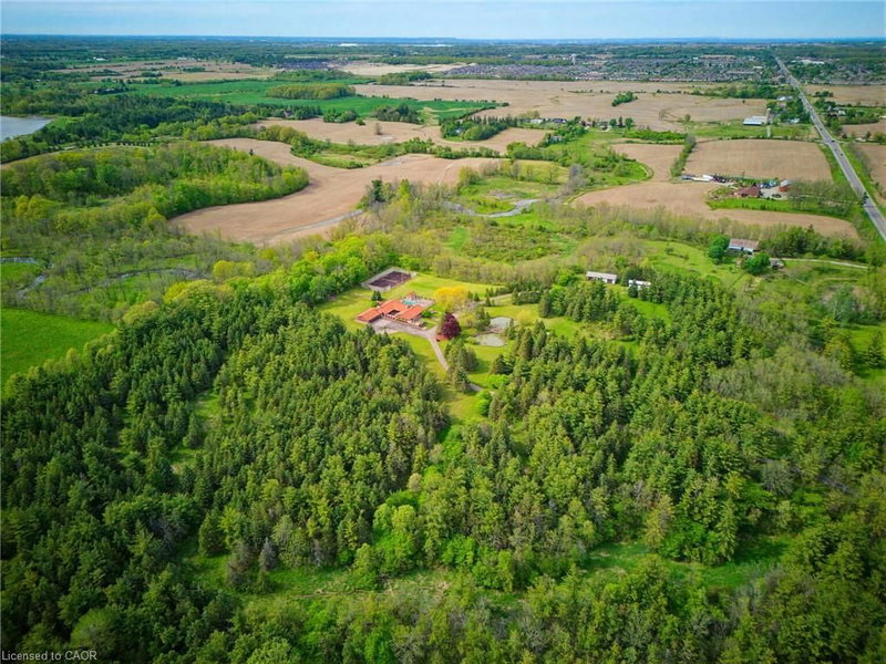 4274 Highway 56 photo 5