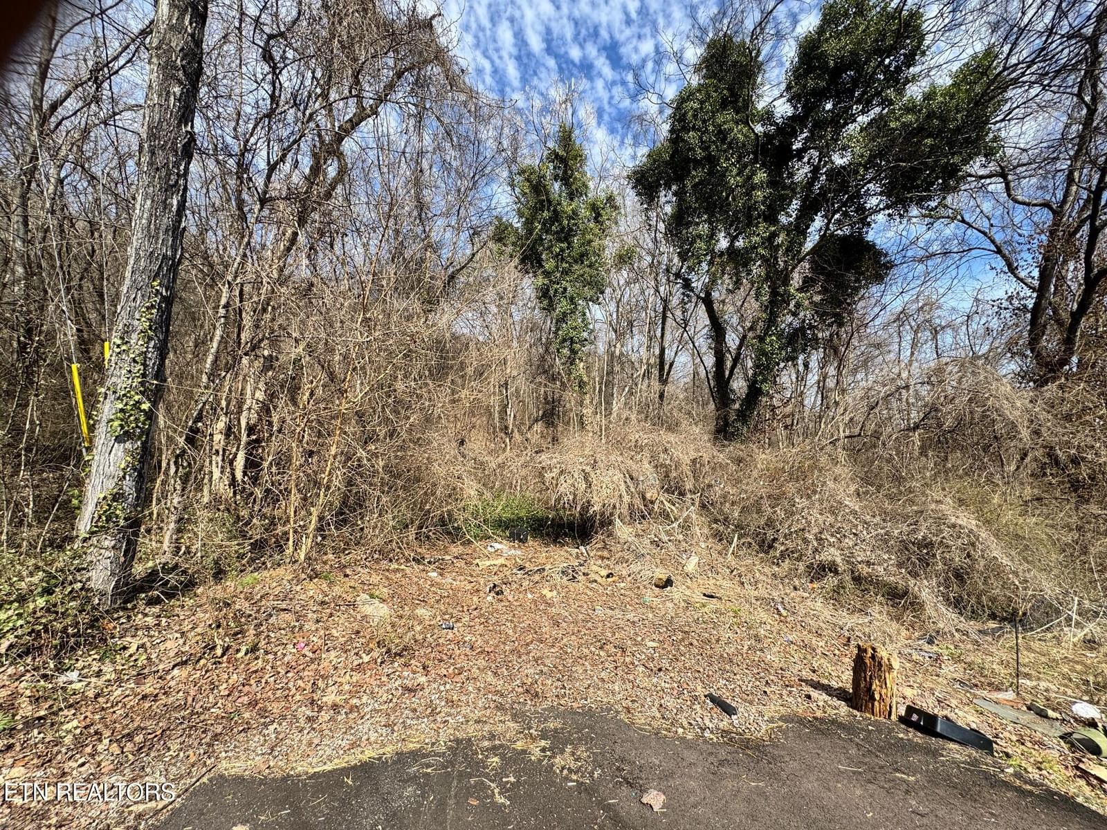 901 & 905 Texas Ave, Knoxville, TN 37921 — Photo 1