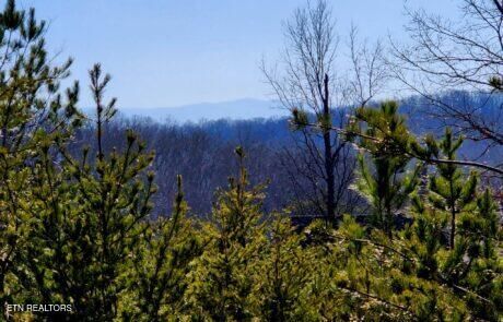 194 Forest Ridge Lane, Greenback, TN 37742 — Photo 1