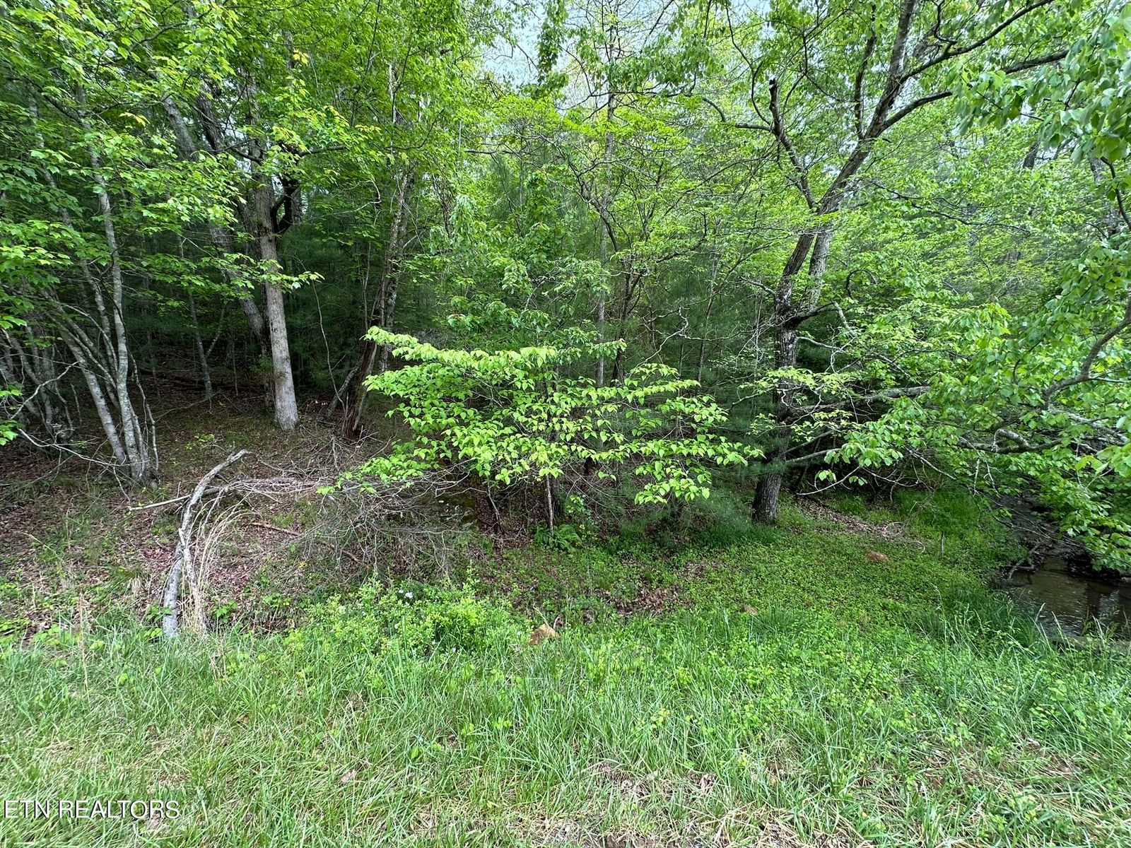 110 & 112 Forest Hill Drive, Crossville, TN 38558 — Photo 1
