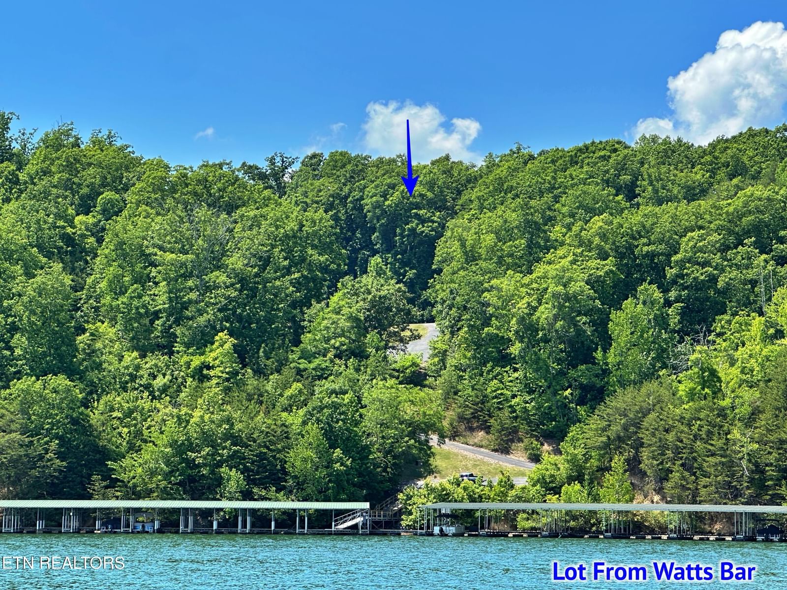 450 Hidden Forest Tr, Spring City, TN 37381 — Photo 1