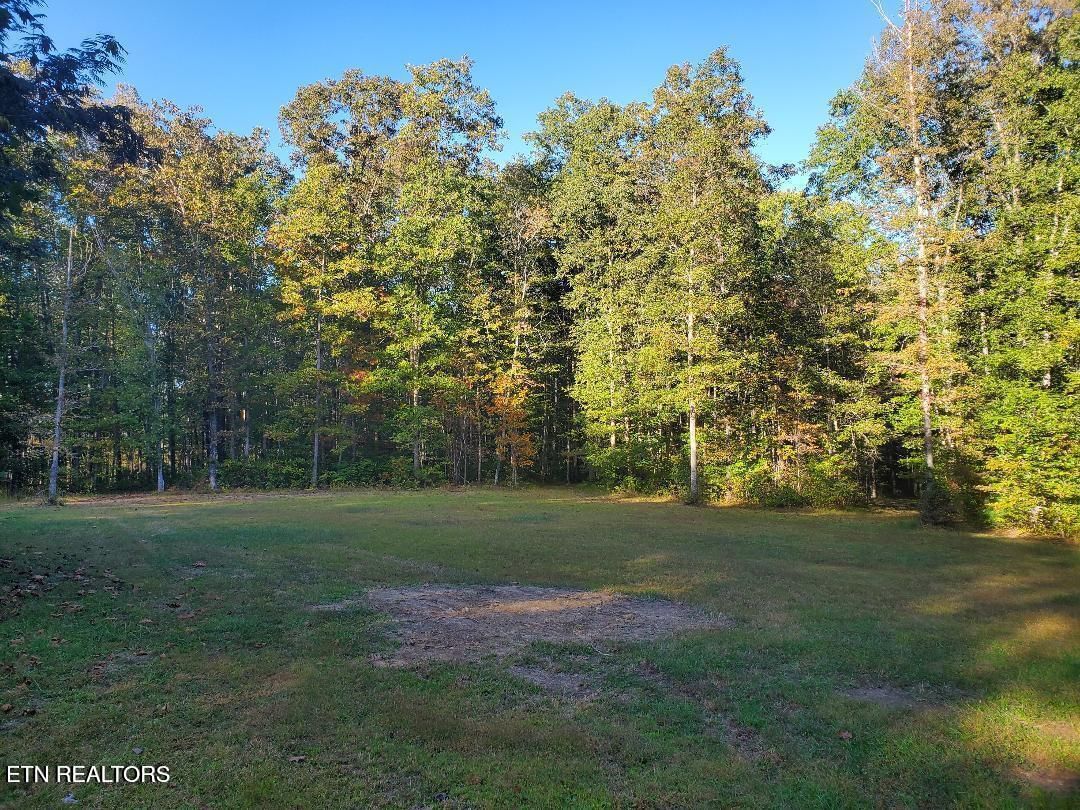 2036 Helenwood Detour Rd, Helenwood, TN 37755 — Photo 1