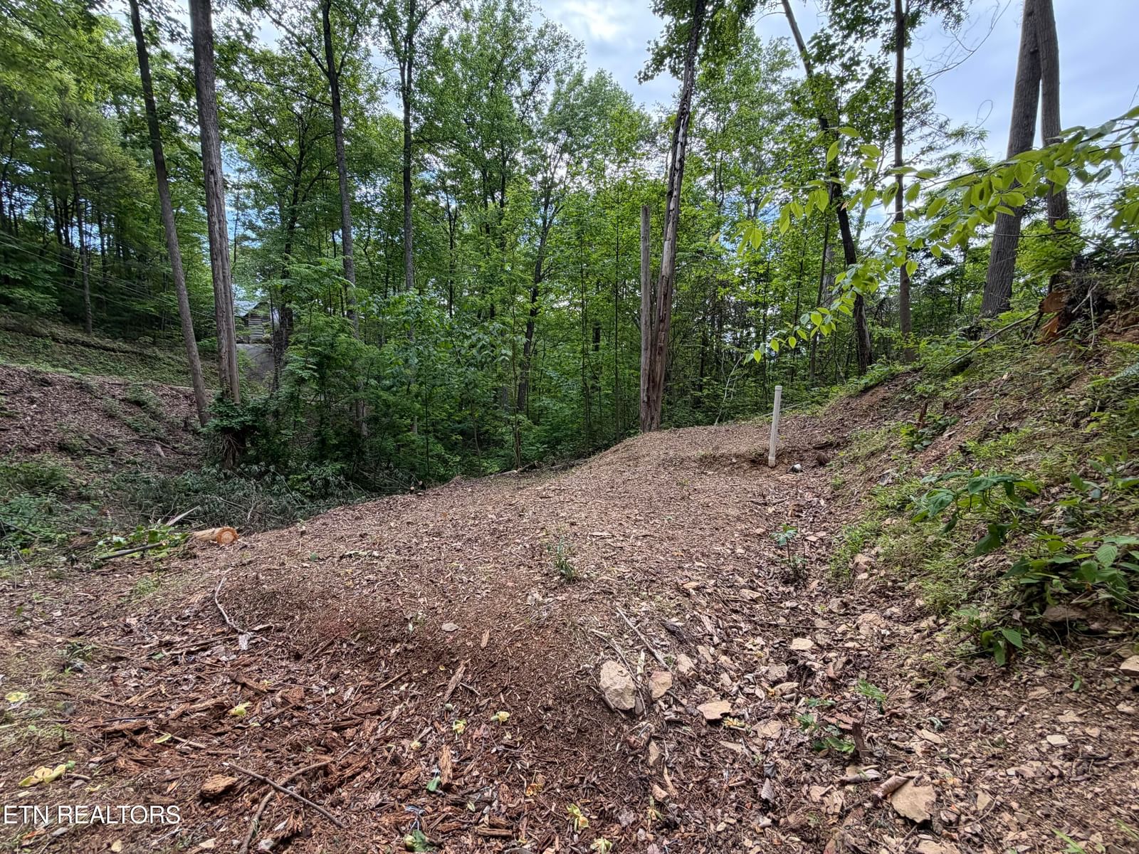 807 Old New Ground Rd, Gatlinburg, TN 37738 — Photo 1