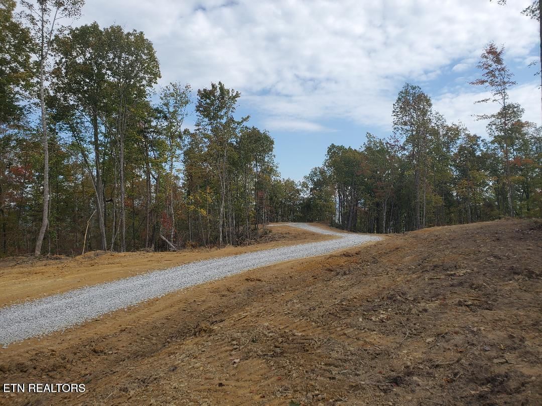 Bull Creek Rd S/0, Huntsville, TN 37756 — Photo 1