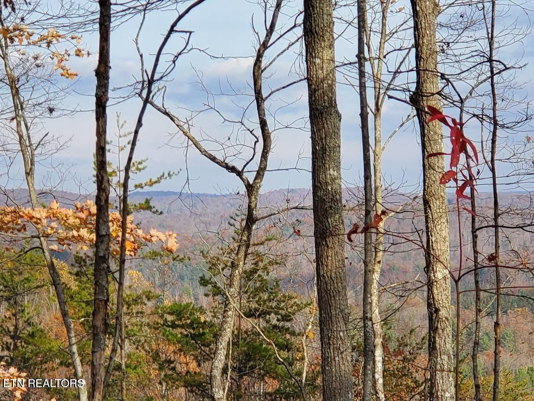 Bull Creek Rd S/0, Huntsville, TN 37756 — Photo 1
