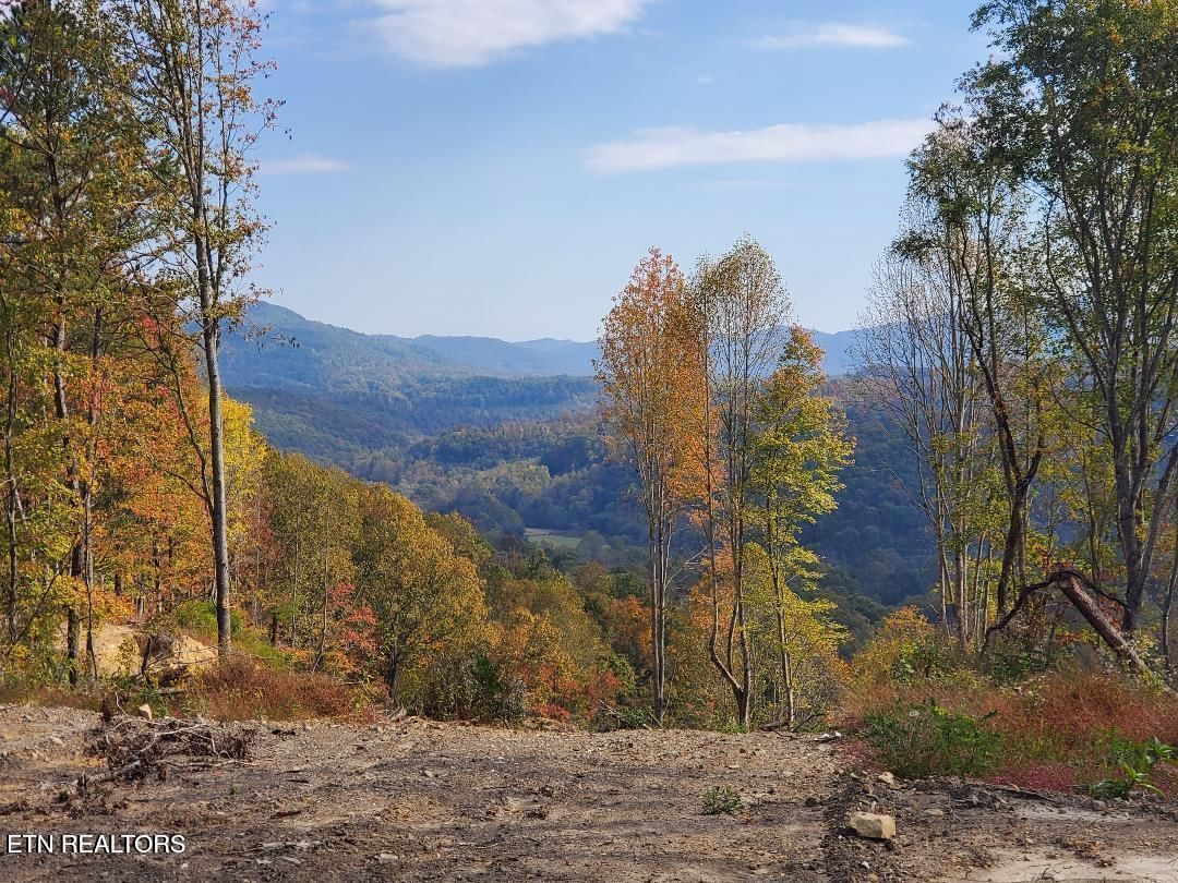 Bull Creek Rd S/0, Huntsville, TN 37756 — Photo 1