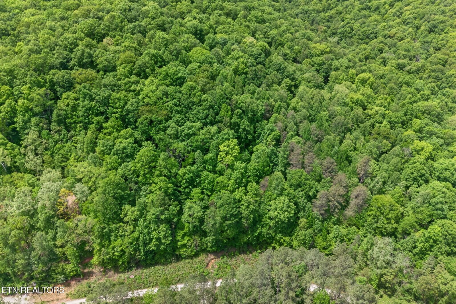 1041 Obey Lane, Wilder, TN 38589 — Photo 1