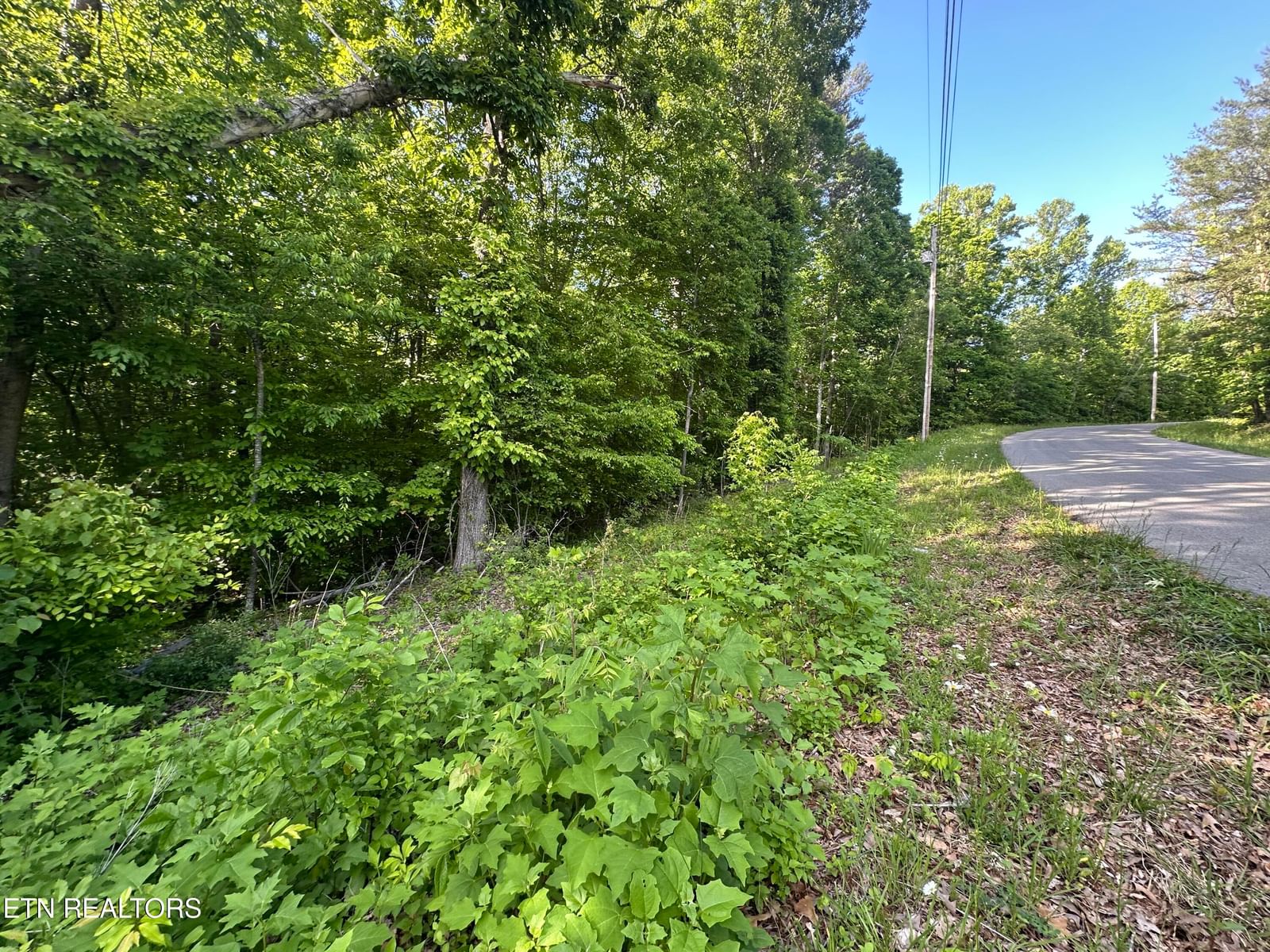 Pine Hollow Rd, Jacksboro, TN 37757 — Photo 1