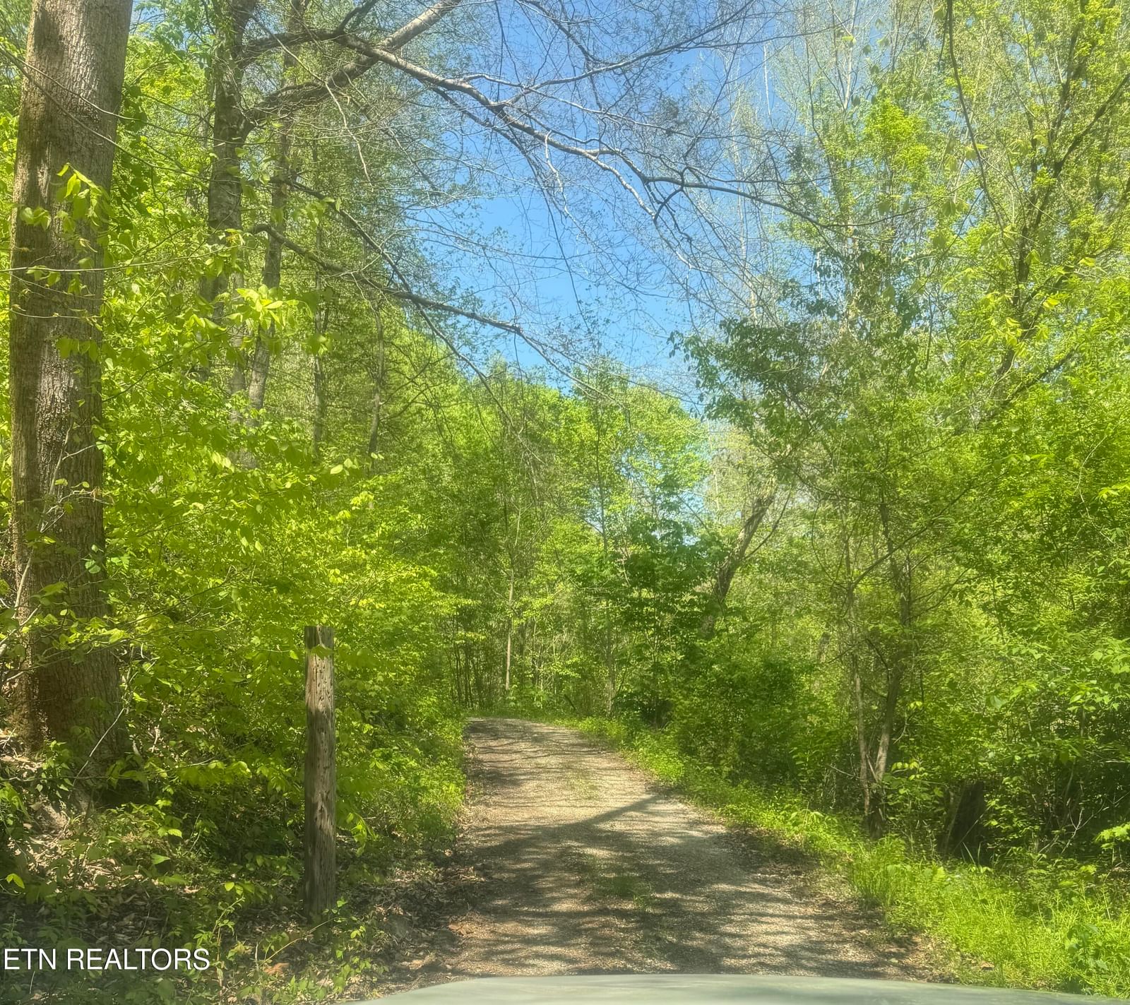 Anna Ln, Clairfield, TN 37715 — Photo 1