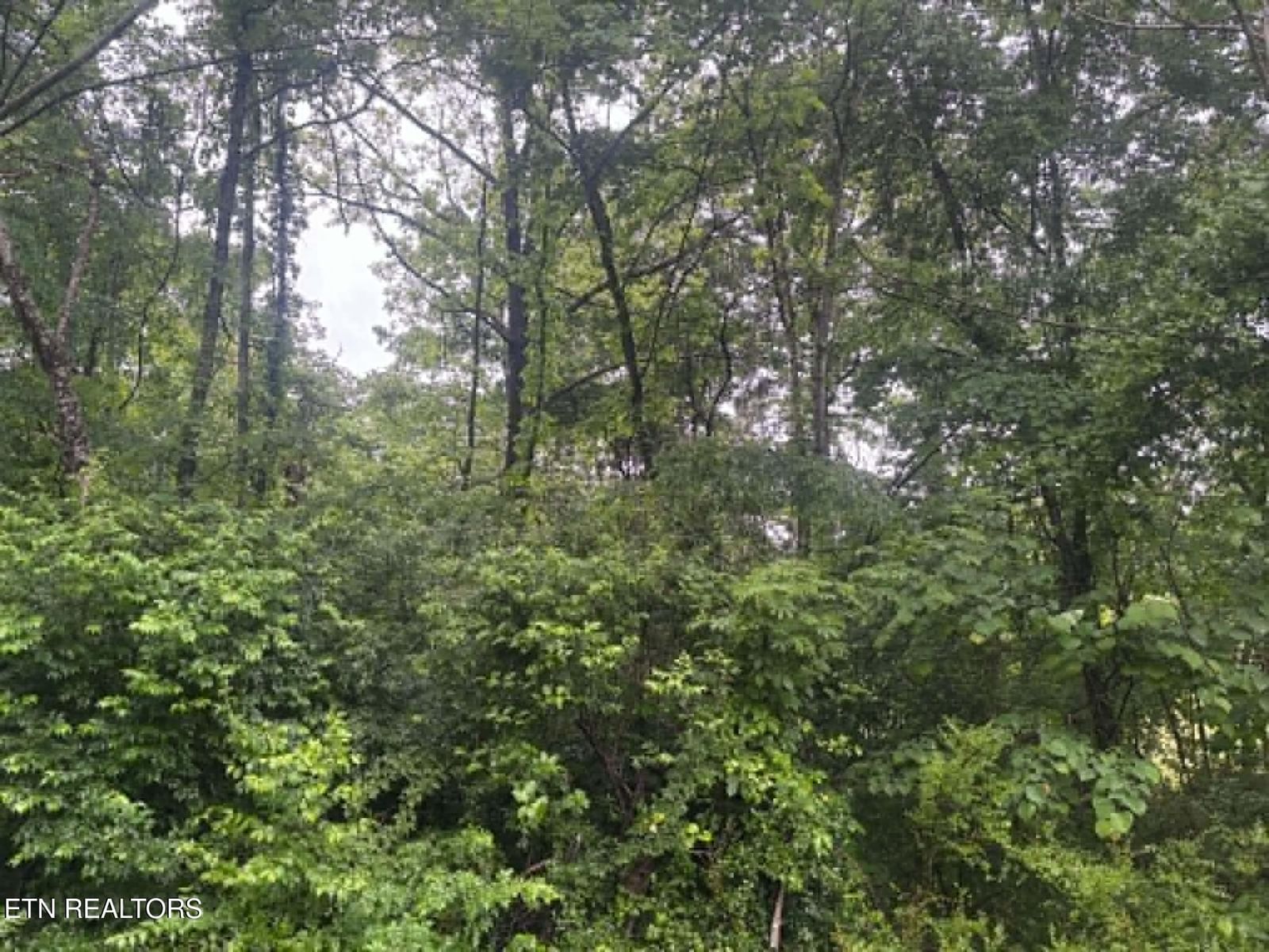 Brogan Lane, Tazewell, TN 37879 — Photo 1