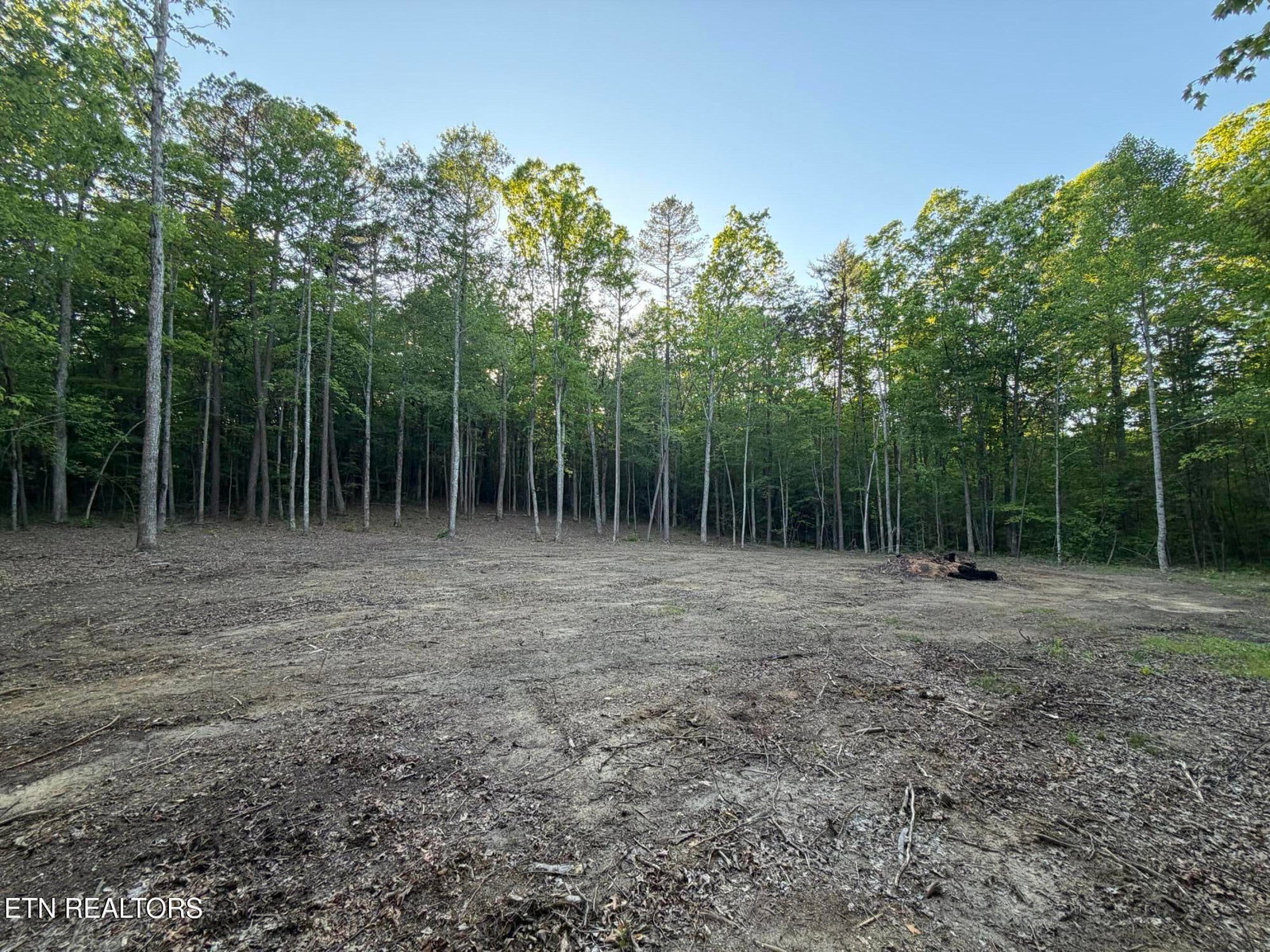 Long Branch Court, Allardt, TN 38504 — Photo 1