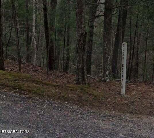 0 Old Hickory Lane, Coker Creek, TN 37314 — Photo 1