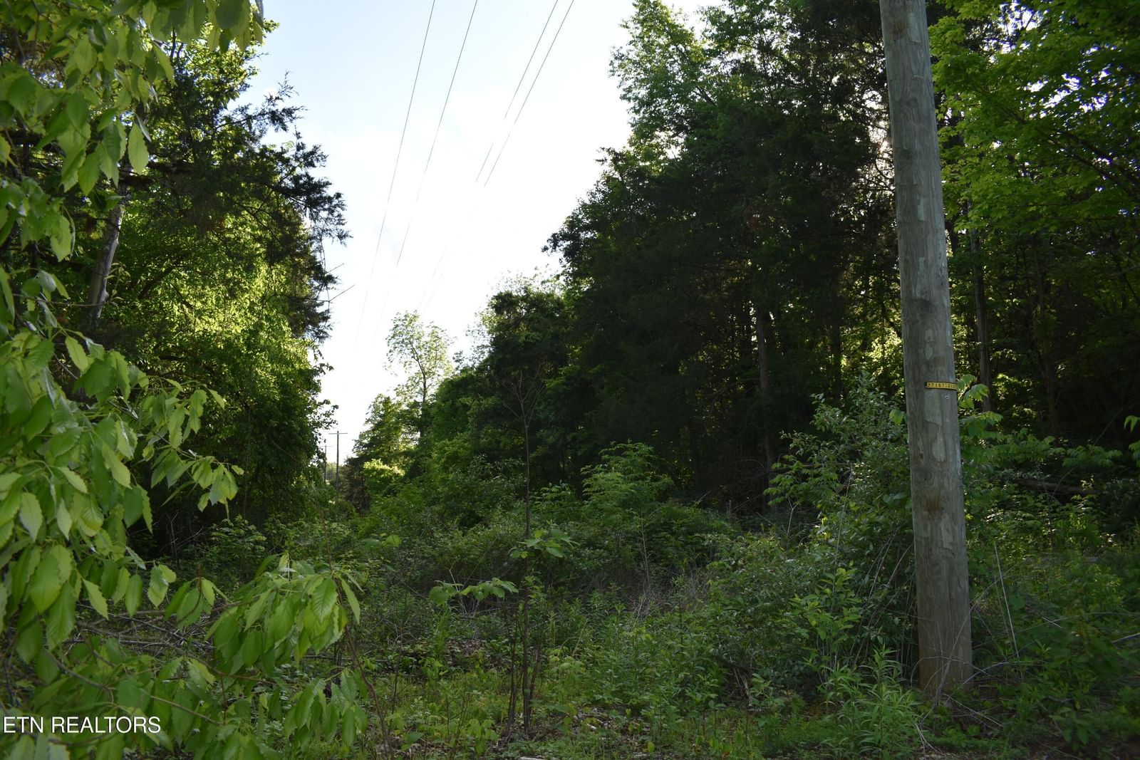 Scott St, Harrogate, TN 37752 — Photo 1