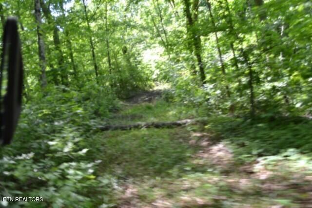 7.50AC Beauchamp Rd, Burkesville, KY 42717 — Photo 1