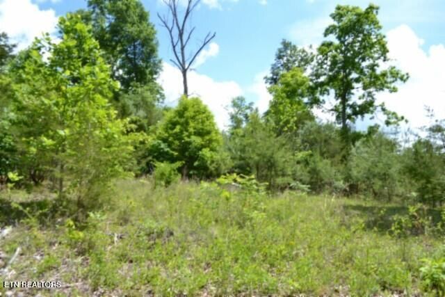 31.22 Beauchamp Rd, Burkesville, KY 42717 — Photo 1