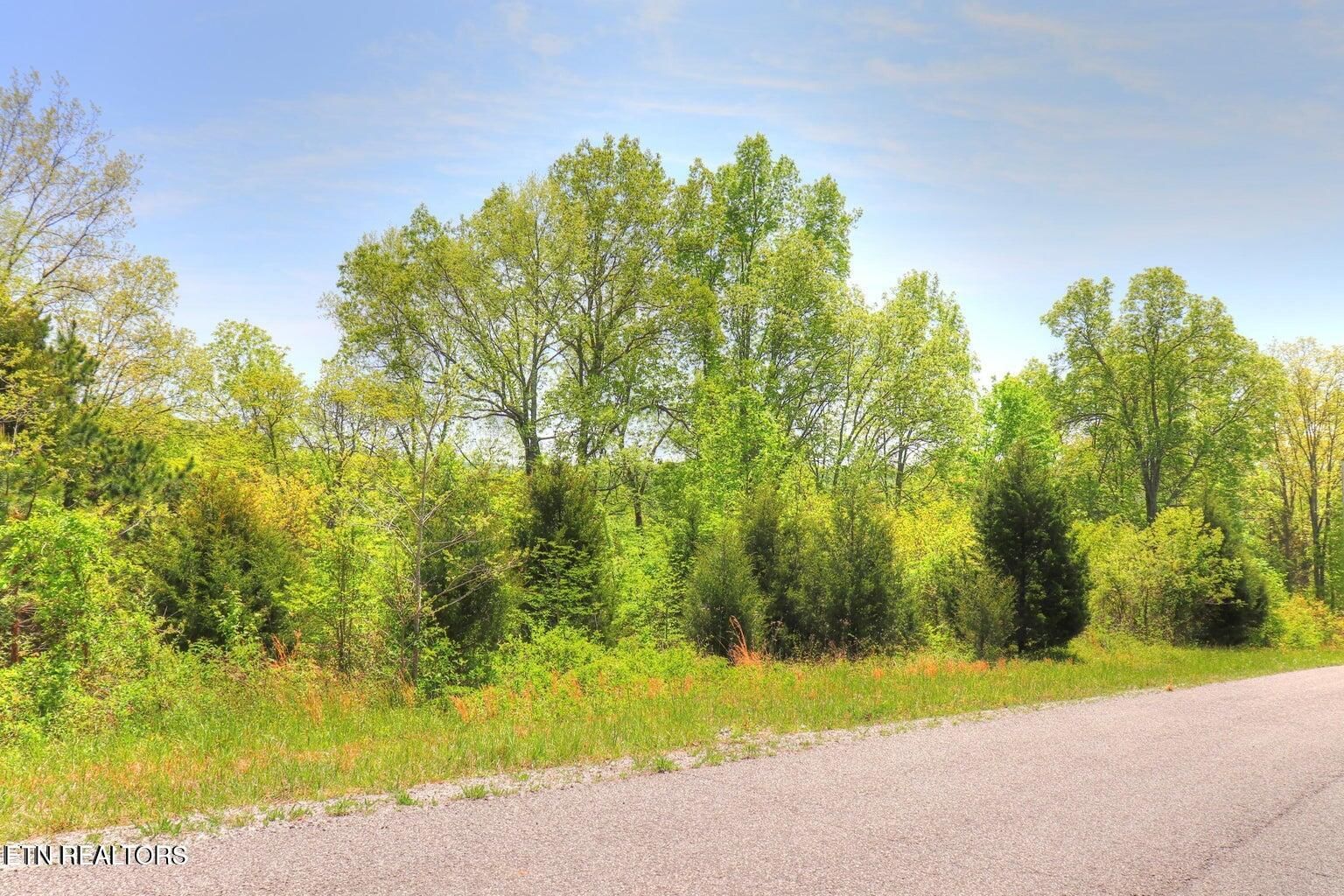 Lot 172 Saddleridge Drive, Speedwell, TN 37870 — Photo 1