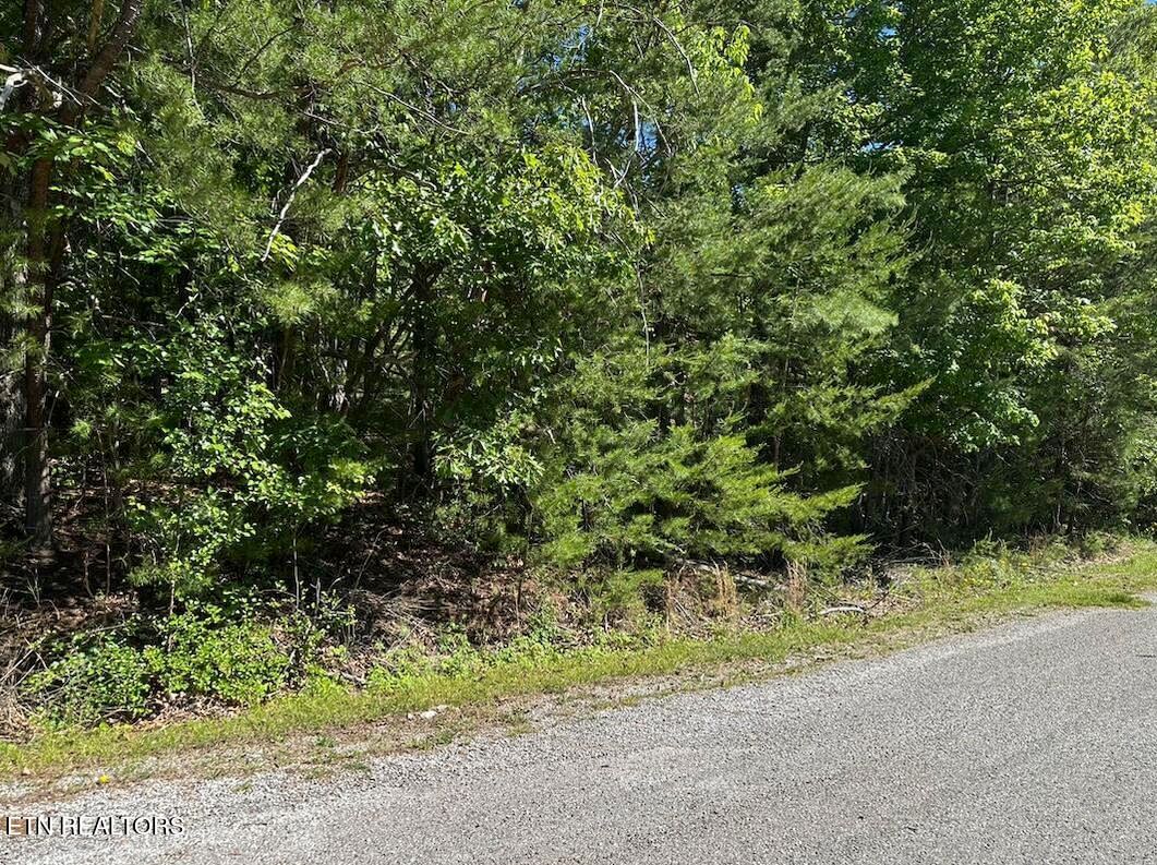 16 Norwood Place, Crossville, TN 38558 — Photo 1
