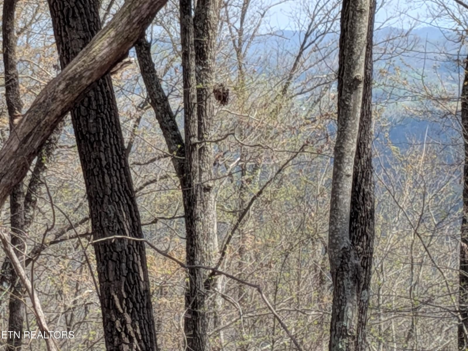Short Moutain Rd, Sneedville, TN 37869 — Photo 1