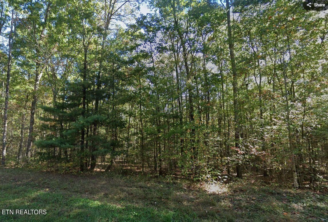 0 Jay Loop Rd, Jamestown, TN 38556 — Photo 1
